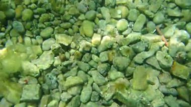 Deniz altındaki su altında. Adriatic, Karadağ sularına. Metin