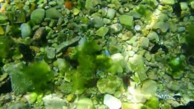 Deniz altındaki su altında. Adriatic, Karadağ sularına. Metin