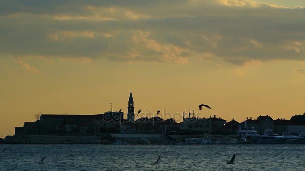 Den gamla stadskärnan i Budva — Stockvideo