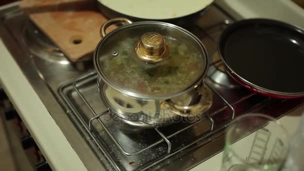 Sopa en una olla en la estufa. Cocinar alimentos — Vídeos de Stock