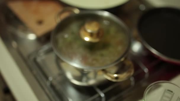 Sopa en una olla en la estufa. Cocinar alimentos — Vídeo de stock