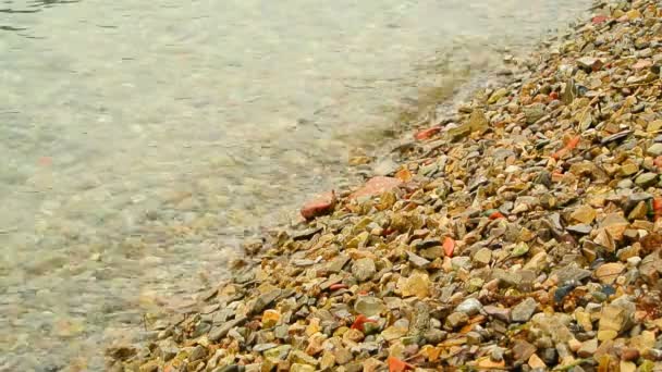 Ciottoli sulla spiaggia. Texture della riva del mare. Mare Adriatico — Video Stock