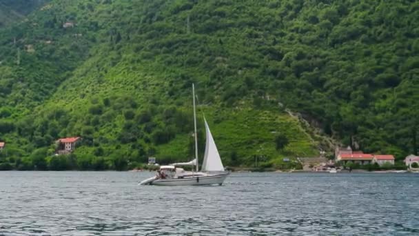 Yachts, boats, ships in the Bay of Kotor — Stock Video