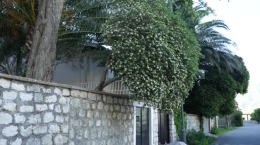 Karadağ'daki taş çit. Denize sıfır Villa.