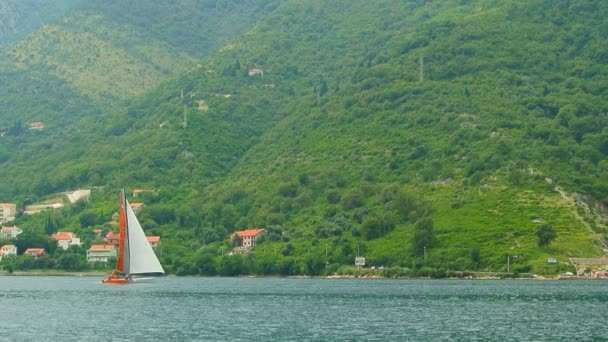 Regata de vela en Montenegro. Regata en yates en la bahía de Boka — Vídeo de stock