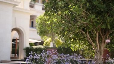 Regent Hotel, Tivat, Montenegro, Porto Montenegro