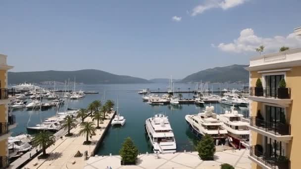 Regent Hotel, Tivat, Montenegro, área de Porto Montenegro. Vista para o exterior — Vídeo de Stock