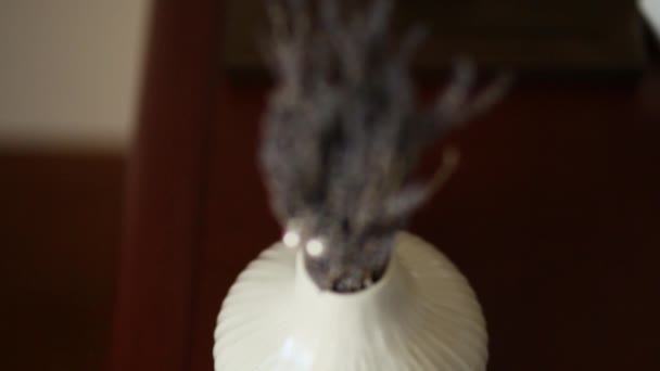 Bouquet de lavande dans un vase — Video
