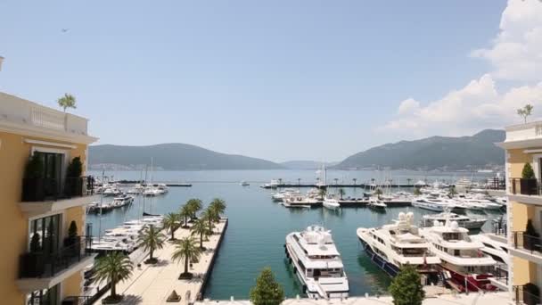 Regent Hotel, Tivat, Montenegro, área de Porto Montenegro. Vista para o exterior — Vídeo de Stock