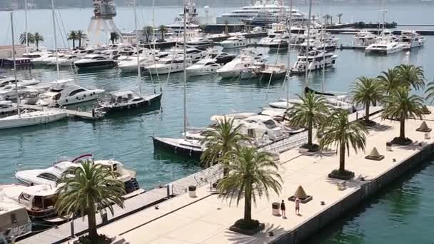 Regent Hotel, Tivat, Montenegro, área de Porto Montenegro. Vista para o exterior — Vídeo de Stock