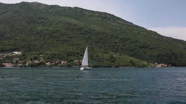 Jachten, boten, schepen in de baai van Kotor, Adriatische Zee, Montenegro — Stockvideo