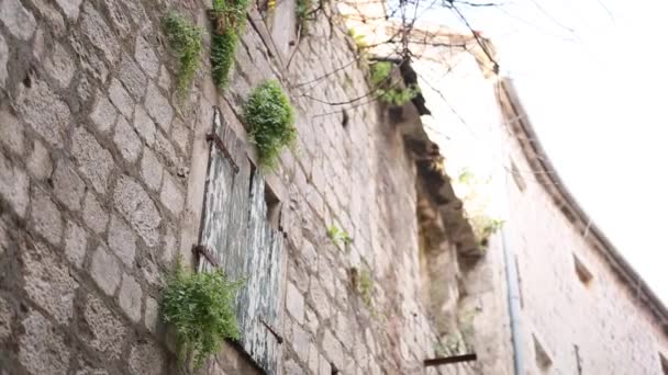 Volets de fenêtre blancs. Les maisons de façade au Monténégro — Video