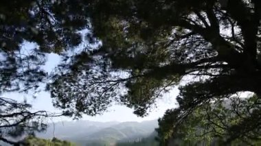 Park Milocer, Villa, Kraliçe plaj. Sveti Stefan Adası yakınlarında