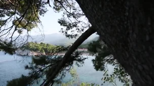 El parque Milocer, Villa, playa Reina. Cerca de la isla de Sveti Stefan — Vídeos de Stock