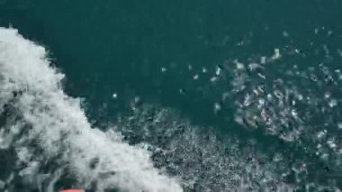 Teknenin su üzerinde dalgalardan. Kotor Körfezi, Karadağ,