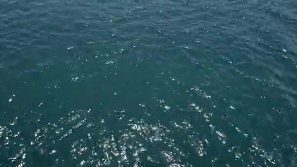 Texture of water. Adriatic Sea near Montenegro. Transparent blue — Stock Video