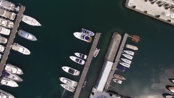 Světy nejlepší Marina pro jachty čluny. Porto Montenegro v Tivatu — Stock video