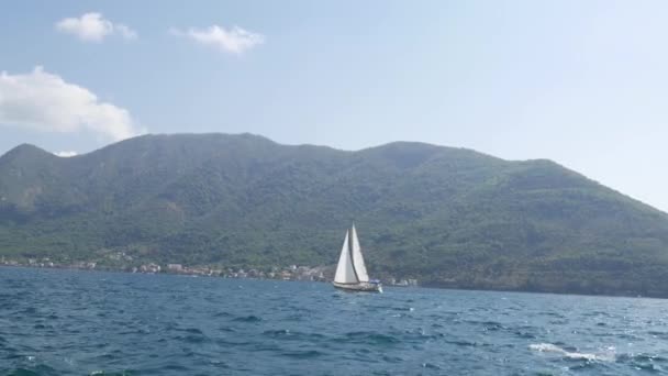 Yachts, boats, ships in the Bay of Kotor, Adriatic Sea, Montenegro — Stock Video