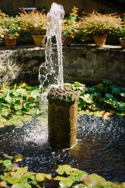 Tuscany, İtalya 'daki Lilliano Şarap Malikanesi' nin Medici Villa 'sının önündeki saksılarla çevrili çeşme..