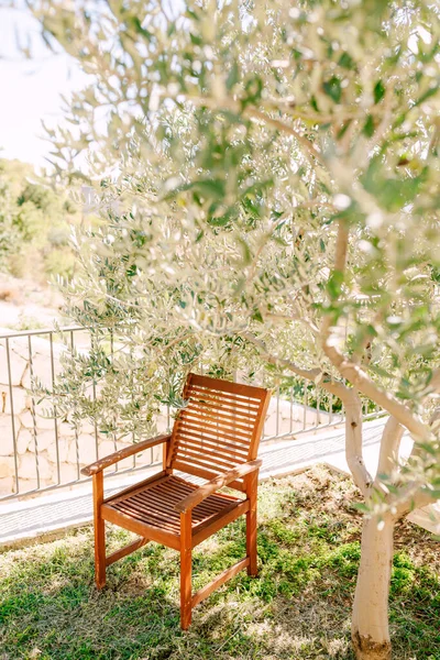 Wooden garden furniture in the garden. A wooden chair stands on the grass waters of an olive tree in the shade of the sun