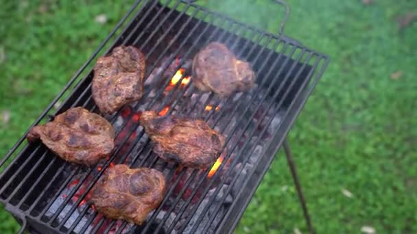 Churrasco com bife. O bife está frito na grelha. Cozinhar carne em chamas. Bife na grelha . — Vídeo de Stock