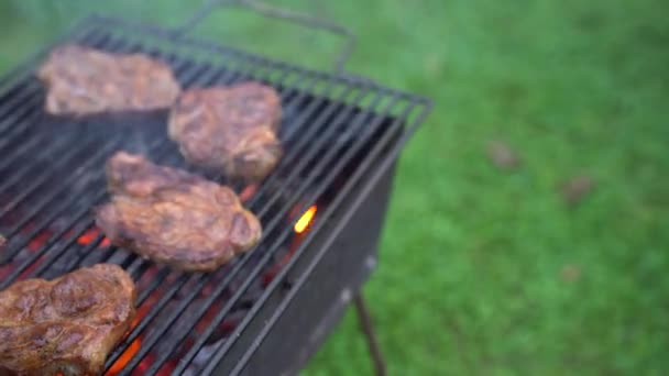 Geroosterde steaks op een grill boven een open vuur. De chef-kok gooit de steaks met een tang. — Stockvideo