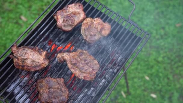 Biftekli barbekü. Biftek ızgarada kızardı. Ateşte et pişirmek. Izgarada biftek. — Stok video