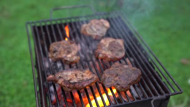 Biftekli barbekü. Biftek ızgarada kızardı. Ateşte et pişirmek. Izgarada biftek. — Stok video