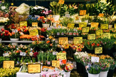 Münih, Almanya - 9 Mart 2018: bir çiçekçi. Almanya 'da bir çiçek tezgahı. Çiçekli tezgah.