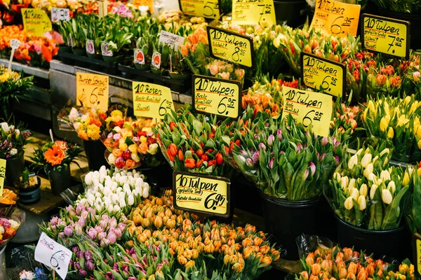 Munich, GERMANY - 9 MARCH 2018: A flower shop. A flower stall in Germany. Shop counter with flowers Stock Picture