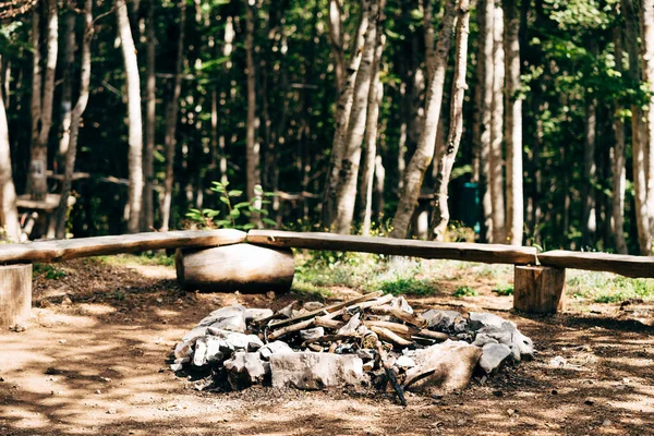 Ormanda şenlik ateşi. Ormanda kamp ateşi yakmak için bir yer. Yangın başlatmak için güvenli bir alan, banklar ve biçilmiş otlar.. — Stok fotoğraf