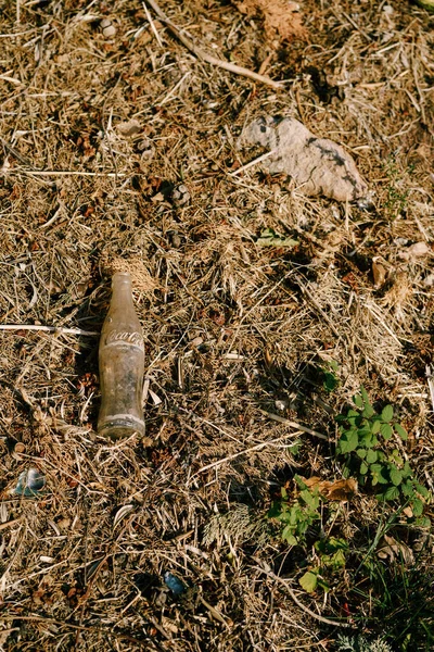 Podgorica, Montenegro - 04 GIUGNO 2018: Vecchia bottiglia di Coca-Cola sdraiata sull'erba. Inquinamento del pianeta con la spazzatura. Dei detriti nel bosco. Spazzatura di vetro — Foto Stock