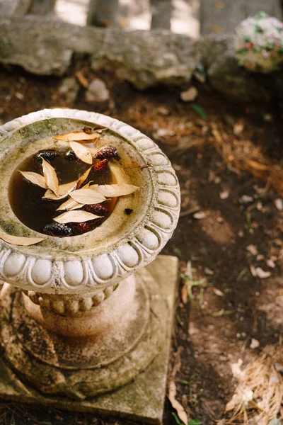 Folhagem de outono e cones de abeto jazem na água em um vaso velho. Motivos de outono folhas na água — Fotografia de Stock
