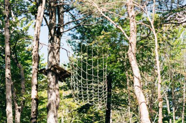 Ağaçların tepesindeki parka tırmanmak. Lunaparkta engel parkı. Açık hava sporları aktivitesi. Macera tekli spor yarışması. Ormanda yüksek ip elementleri.