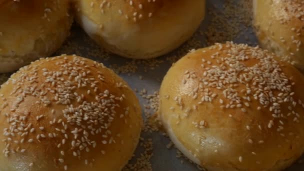 Burger rolls are fresh from the oven, still hot, generously sprinkled with sesame seeds. Homemade round-shaped pork buns, spotted to ruddy crust — Stock Video