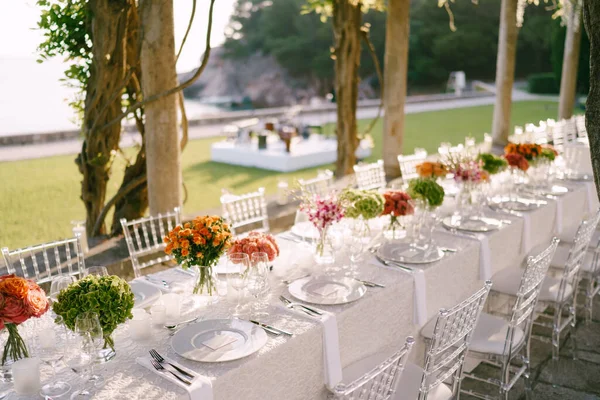 Bruiloft diner tafel receptie. Een zeer lange tafel voor gasten met een wit tafelkleed, bloemstukken, glazen plastic transparante stoelen Chiavari. Onder de oude zuilen met wijnstokken van wisteria. — Stockfoto