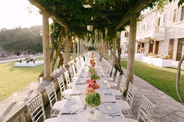 Hochzeitstisch-Empfang. Ein sehr langer Tisch für Gäste mit einer weißen Tischdecke, Blumenarrangements, transparenten Stühlen aus Glas Chiavari. Unter den alten Säulen mit den Reben der Glyzinien. — Stockfoto