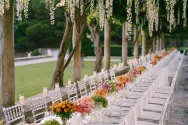 Wedding dinner table reception. A very long table for guests with a white tablecloth, floral arrangements, glass plastic transparent chairs Chiavari. Under the old columns with vines of wisteria. clipart