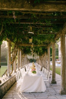 Wedding dinner table reception. A very long table for guests with a white tablecloth, floral arrangements, glass plastic transparent chairs Chiavari. Under the old columns with vines of wisteria. clipart