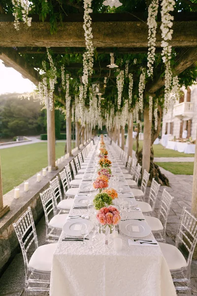 Réception de table de mariage. Une très longue table pour les invités avec une nappe blanche, des arrangements floraux, des chaises transparentes en plastique en verre Chiavari. Sous les vieilles colonnes avec des vignes de glycine . — Photo
