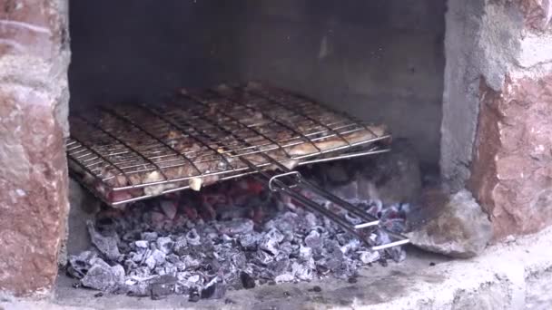 Lammeribbe stekt på bål BBQ og trekull i grill. Marinert med BBQ Sauce Sork Baby Back eller Spar ribben på Hot Charcoal Grill med skinnende flammer i bakgrunnen, lukk opp – stockvideo