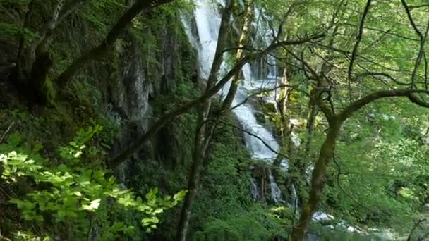 Malé vodopády mezi stromy na Plitvických jezerech v národním parku v Chorvatsku. Hustě zelený jarní listnatý les. — Stock video
