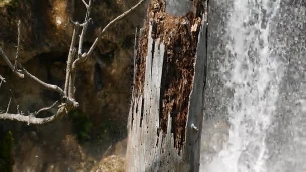 Rotten tree trunk against the background of waterfall — Stock Video