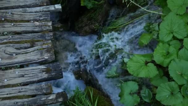 Dřevěný chodník zeleným hustým jarním lesem přes horské řeky a vodopády v národním parku Plitvická jezera v Chorvatsku. — Stock video