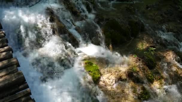 Маленькие водопады среди деревьев на Плитвицких озерах в Национальном парке Хорватии. Маленький горный водопад спускается по камням в мху и впадает в реку. . — стоковое видео