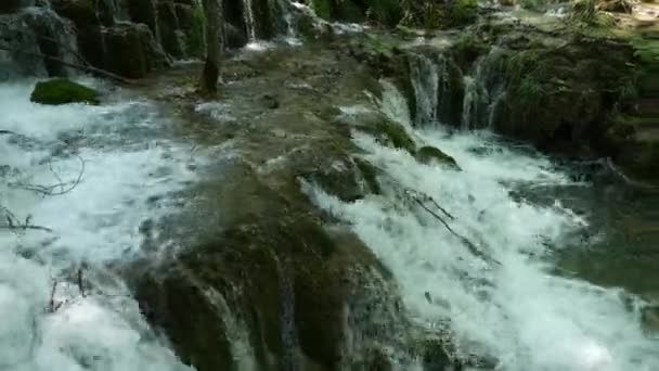Pequenas cachoeiras entre as árvores nos lagos Plitvice no Parque Nacional, na Croácia. Floresta decídua densa de primavera verde. Pequena cachoeira de montanha desce sobre pedras no musgo e flui para o rio . — Vídeo de Stock