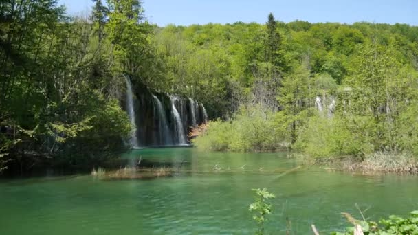 Gran cascada en el Parque Nacional de los Lagos de Plitvice en Croacia. El río Korana, causó barreras travertinas para formar presas naturales, lo que creó una serie de lagos pintorescos, cascadas y cuevas.. — Vídeo de stock