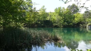 Hırvatistan 'ın Plitvice Gölleri' ndeki bir nehirde şeffaf gök mavisi suyu.