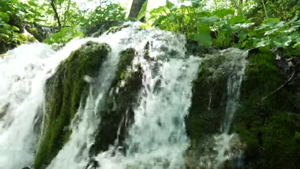 国立公園のプリトヴィツェ湖の木々の間の小さな滝。濃い緑の春落葉樹林。苔の石を流れる山の滝の泡立つ泡状の水のクローズアップ — ストック動画