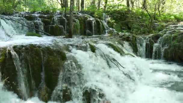 クロアチアの国立公園のプリトヴィツェ湖の木々の間の小さな滝。濃い緑の春落葉樹林。山の川の水が流れる苔の石の多くの急流。. — ストック動画